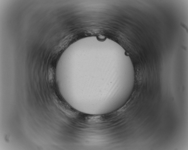 X0000102340132200808221640