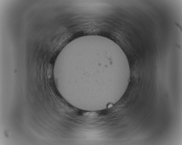 X0000102340133200808221640