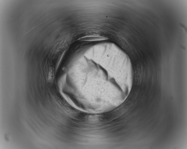 X0000102340134200808221640