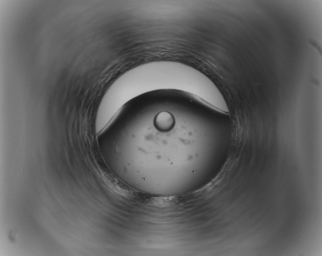 X0000102340136200808221639