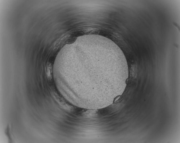 X0000102340138200808221639