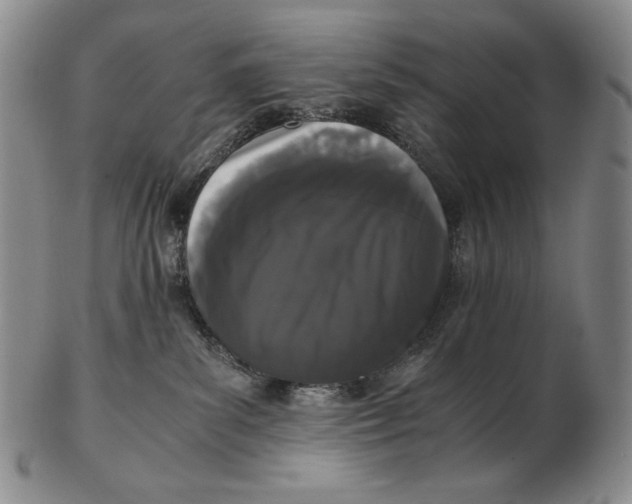 X0000102340139200808221639