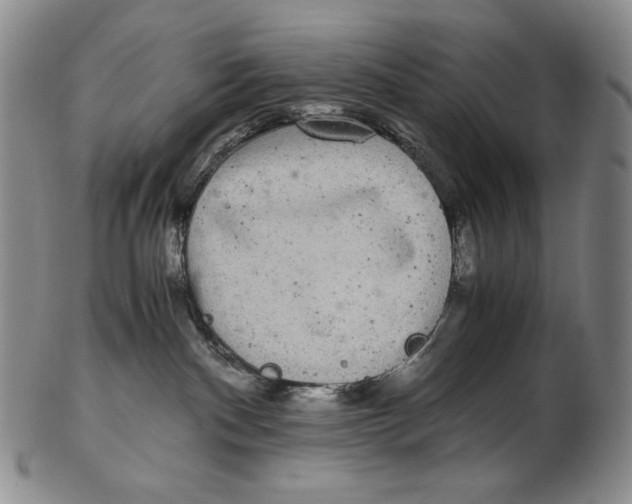 X0000102340140200808221639