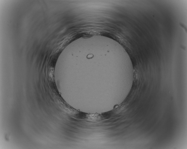 X0000102340141200808221639