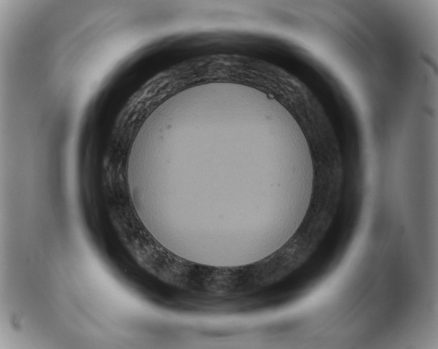 X0000102340142200808221639