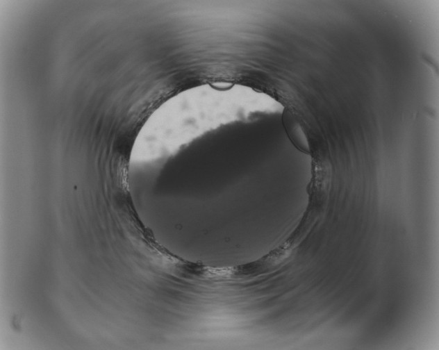 X0000102340143200808221639