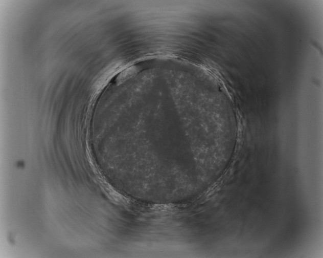 X0000102340145200808221639