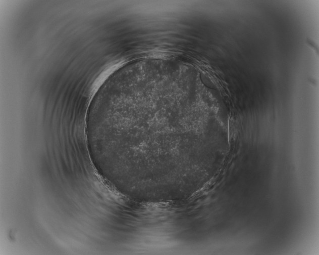 X0000102340147200808221639