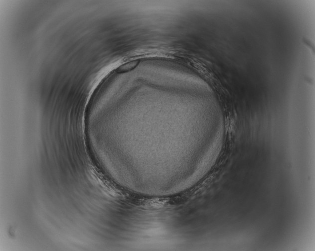 X0000102340148200808221639