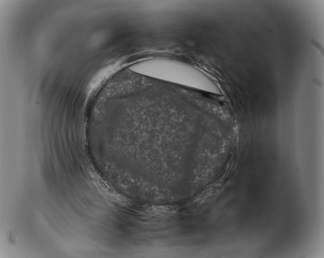 X0000102340149200808221639