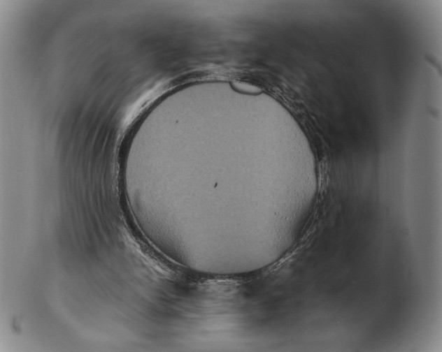 X0000102340150200808221639