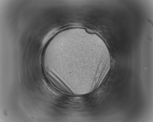 X0000102340151200808221639