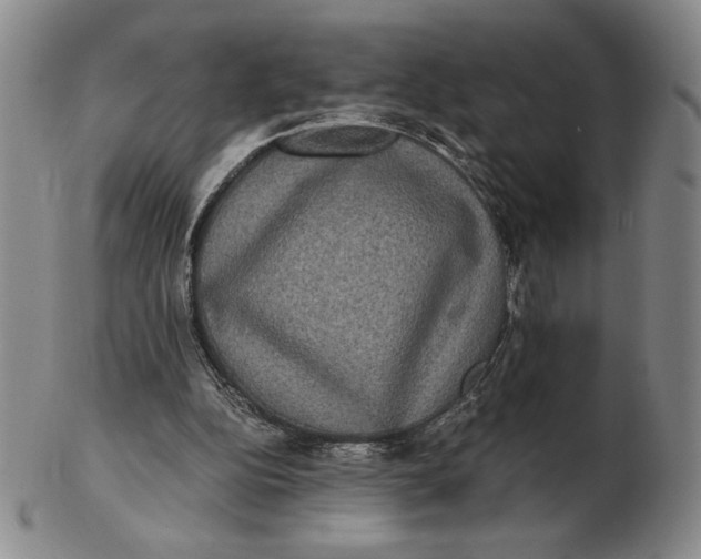 X0000102340152200808221639