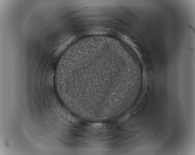 X0000102340153200808221639