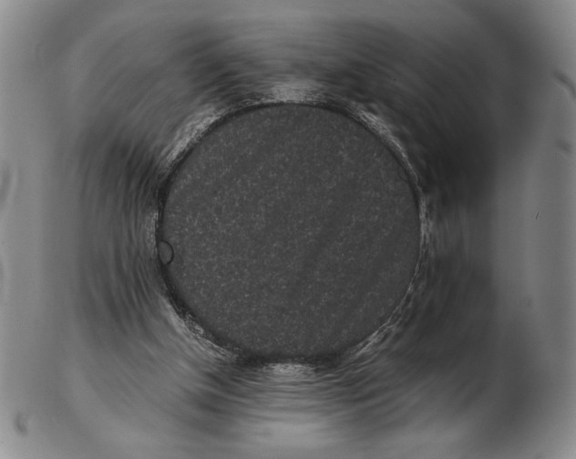 X0000102340154200808221639