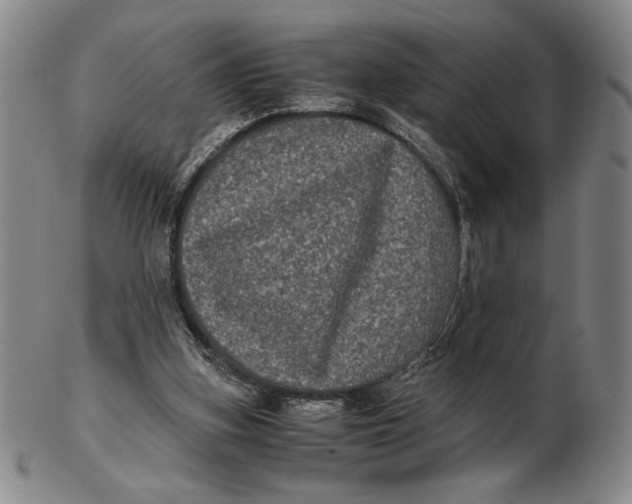 X0000102340155200808221639