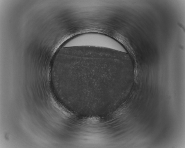 X0000102340156200808221639