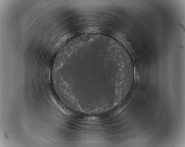 X0000102340157200808221639