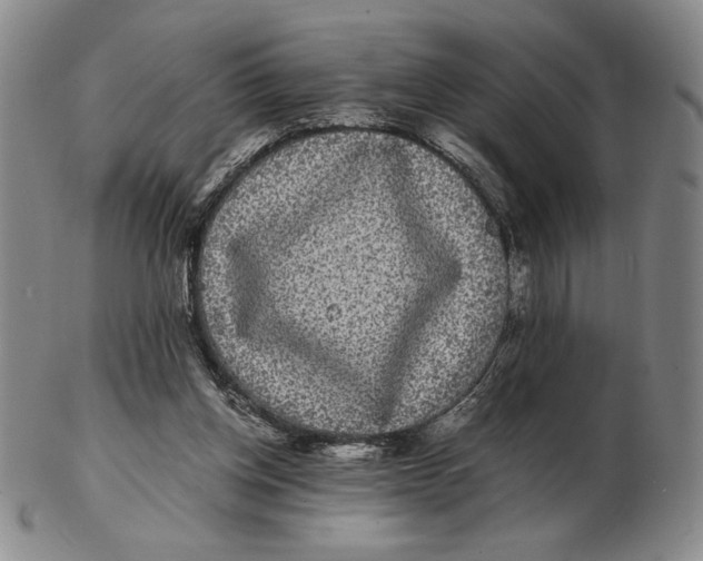 X0000102340158200808221639