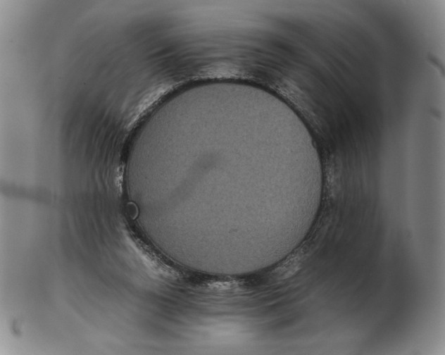 X0000102340160200808221639