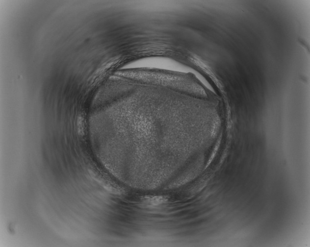 X0000102340161200808221639