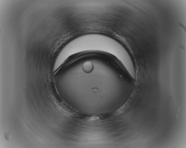 X0000102340162200808221639