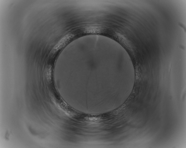 X0000102340163200808221639