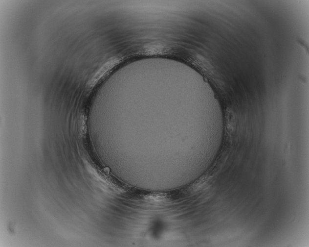 X0000102340164200808221639