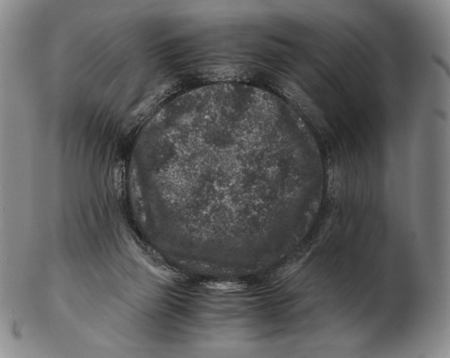 X0000102340165200808221639