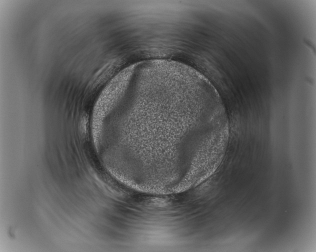 X0000102340166200808221639