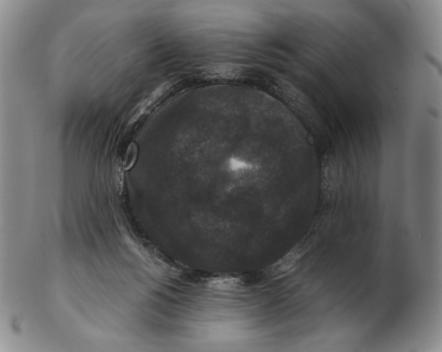 X0000102340168200808221639