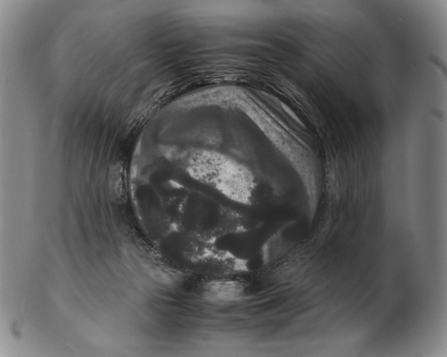 X0000102340169200808221639