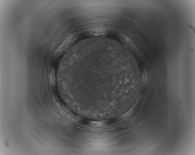 X0000102340170200808221639