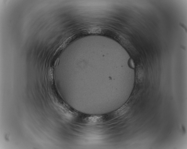 X0000102340172200808221639