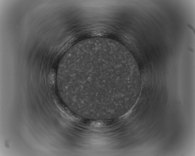 X0000102340174200808221639