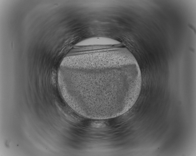 X0000102340175200808221639