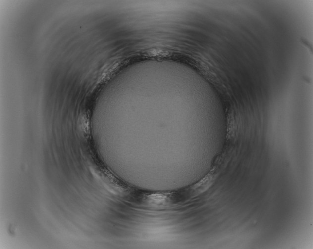 X0000102340176200808221639