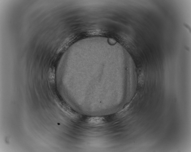 X0000102340179200808221639