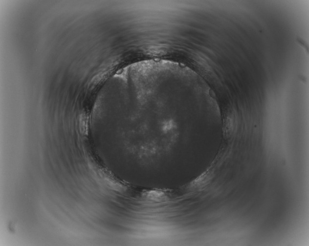 X0000102340180200808221639