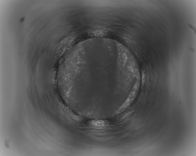 X0000102340181200808221639