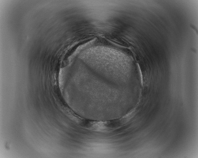 X0000102340182200808221639