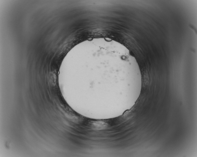 X0000102340183200808221639