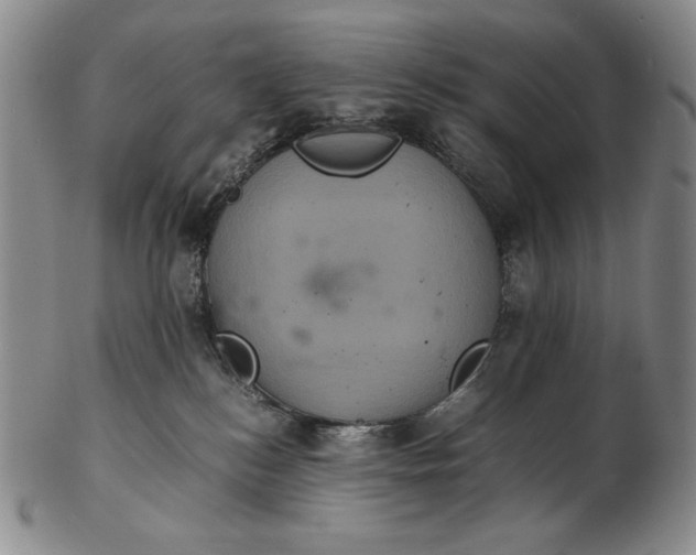 X0000102340184200808221639