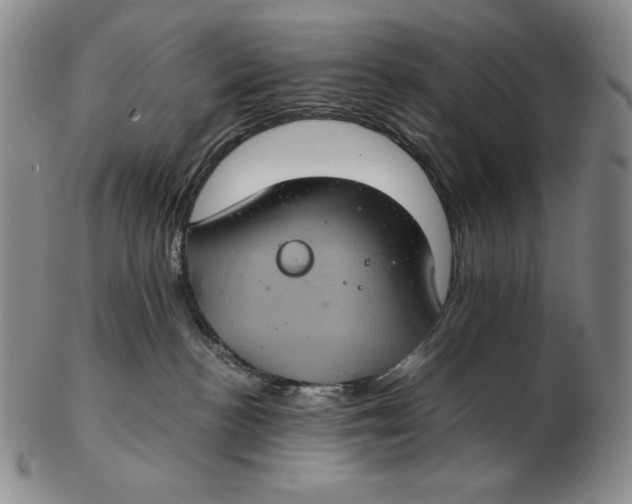 X0000102340188200808221639