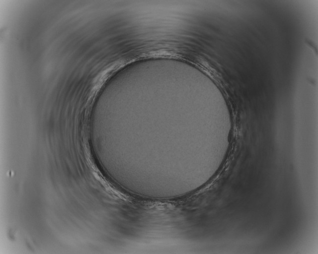 X0000102340193200808221639