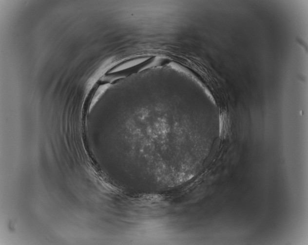 X0000102340195200808221639