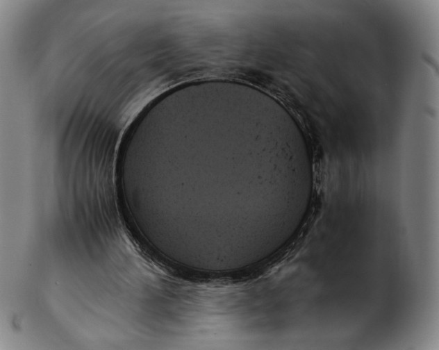 X0000102340196200808221638