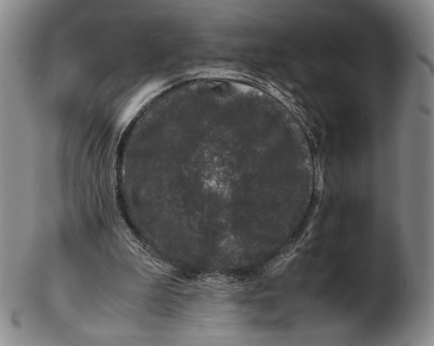 X0000102340199200808221638