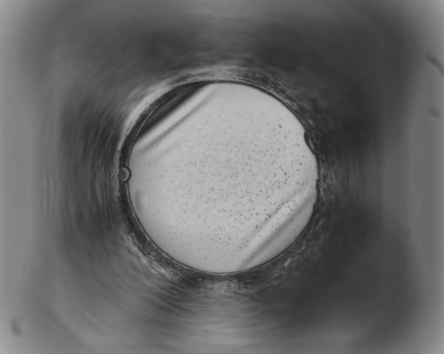 X0000102340200200808221638