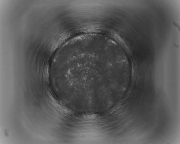 X0000102340202200808221638